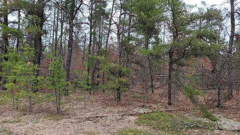Sandy Trail - 20 Acres, Grayling, MI 49738