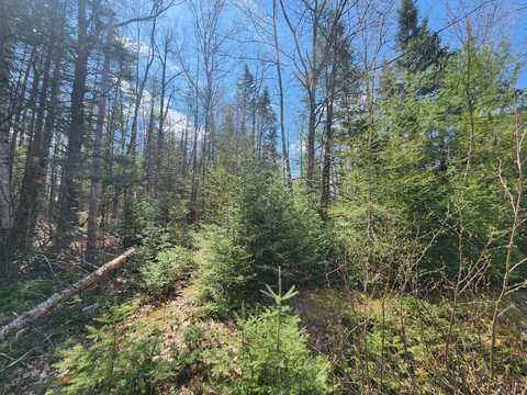 00 S Spruce Street, Glennie, MI 48737
