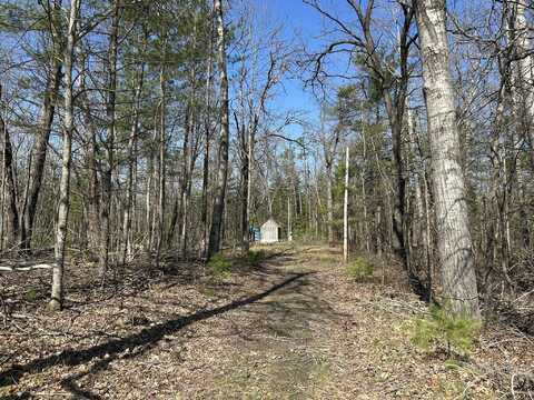 10716 Culver Road, Atlanta, MI 49709