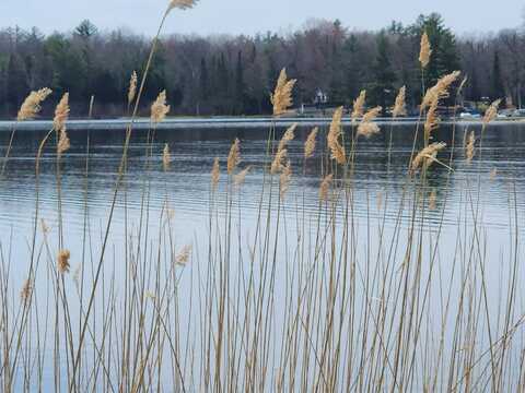 7305 Chain Lake Drive, South Branch, MI 48761