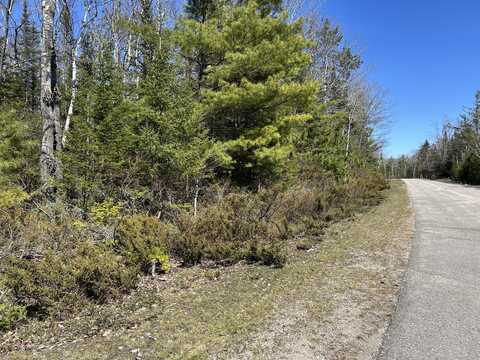 Lots 80&81 Laurelhill Circle, Presque Isle, MI 49777