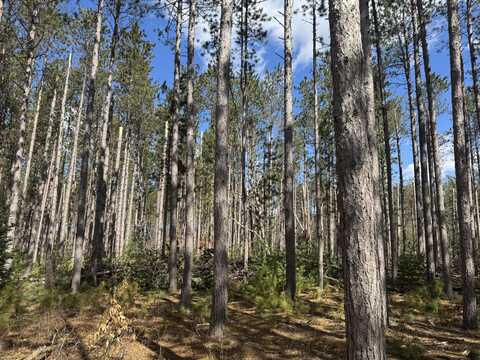 03 Sturgis Road, Atlanta, MI 49709