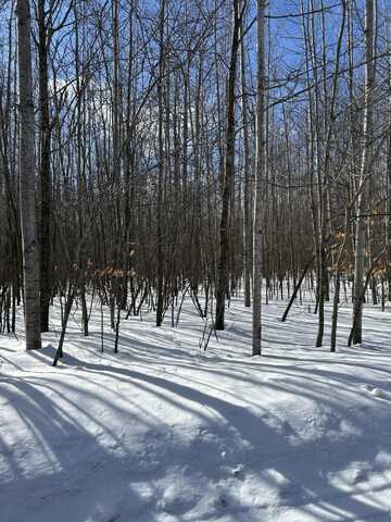 Parcel ''e Woodmansee Road, Cheboygan, MI 49721