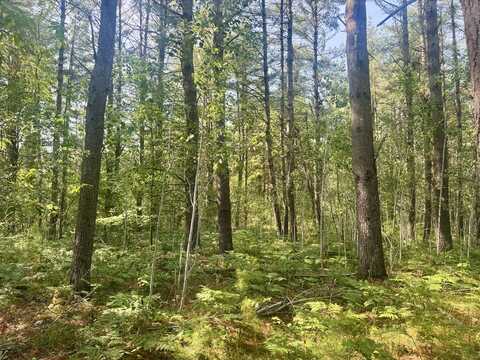 Sturgis Road, Atlanta, MI 49709