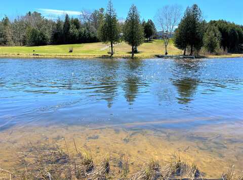 Off River Edge Drive, Cheboygan, MI 49721