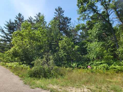 Norseman Drive lot: 30, Grayling, MI 49738