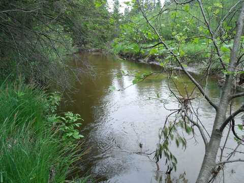 Spikehorn Trail, Indian River, MI 49749