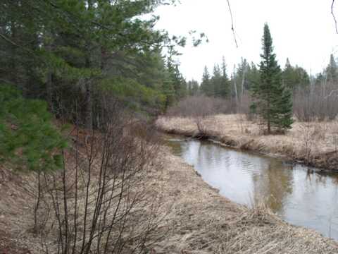 Spikehorn Trail, Indian River, MI 49749