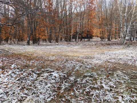 Lot #172 Foothills Trail, Gaylord, MI 49735
