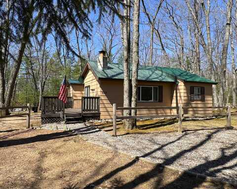 553 NE Bear Lake Road, Kalkaska, MI 49646
