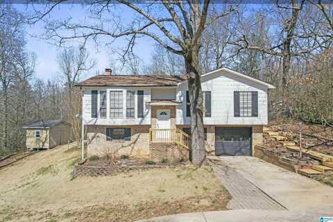 Sandra, BIRMINGHAM, AL 35217