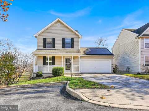 Barberry, MANCHESTER, PA 17345