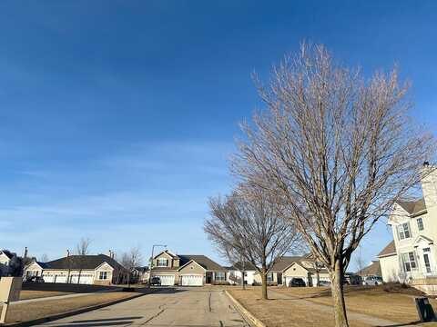 Canary, YORKVILLE, IL 60560