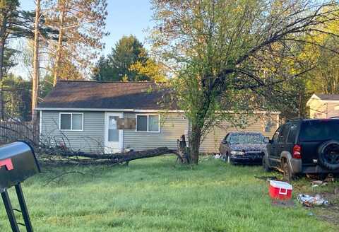 Kay Lynn, LAKE, MI 48632