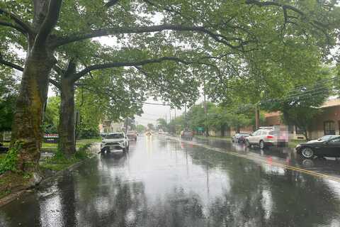 Brunswick, LAWRENCE TOWNSHIP, NJ 08648