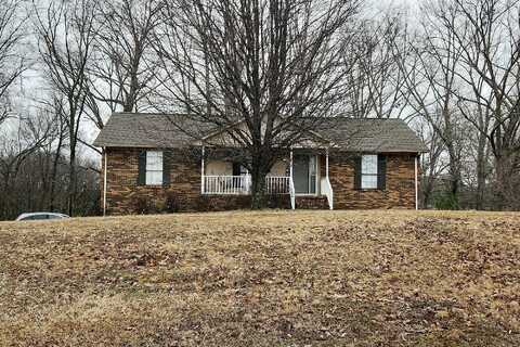 County Road 576, ROGERSVILLE, AL 35652