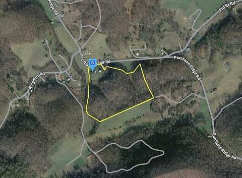 Purchase Ridge, DUFFIELD, VA 24244