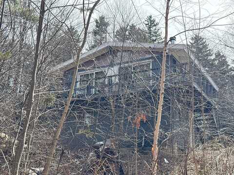 Deer Hill, WHITINGHAM, VT 05361