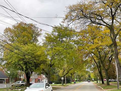 Anderson, CLEVELAND, OH 44124