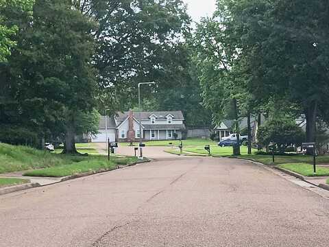 Pamela Ann, BARTLETT, TN 38135