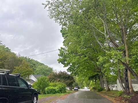 Mingus, CANTON, NC 28716