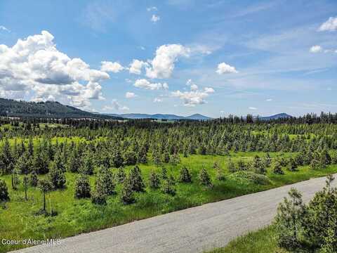 Nna S Hawthorne Dr Parcel 6, Harrison, ID 83833