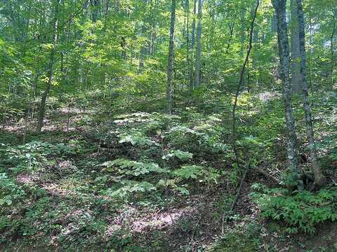 Lot 334 High Ridge Rd. Section 10, Franklin, NC 28734