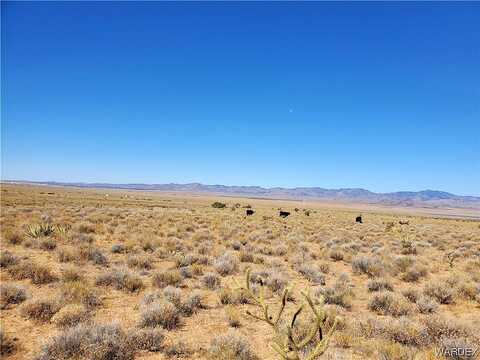 Santa Barbara Boulevard, Kingman, AZ 86409