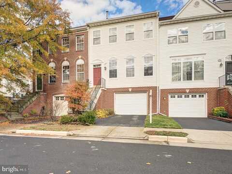 Tassia, ALEXANDRIA, VA 22315