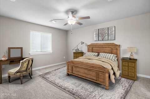 Black Mesquite, EL PASO, TX 79934