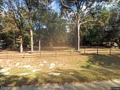 156Th Place, SUMMERFIELD, FL 34491