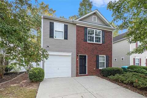 Ilex, CANTON, GA 30114