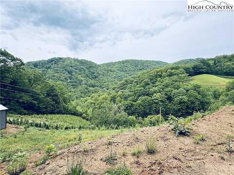 Birchfield Creek Road, Newland, NC 28657