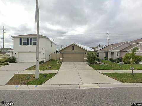 Downy Birch, RIVERVIEW, FL 33569