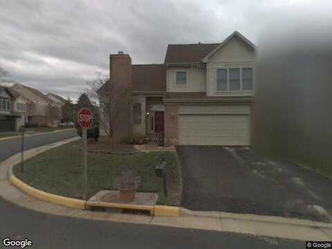 Silver Maple, FALLS CHURCH, VA 22042