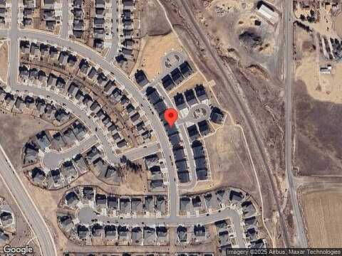 Crossbill, BERTHOUD, CO 80513