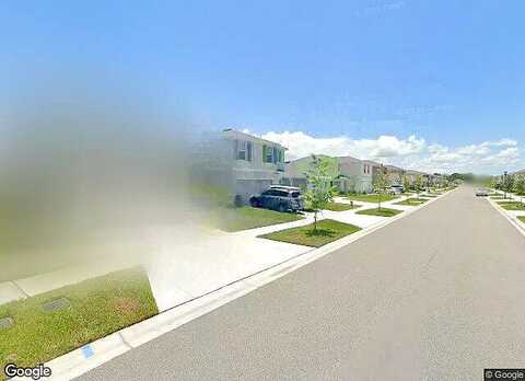 Olive Conch, RUSKIN, FL 33570