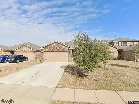 Elderberry, FORNEY, TX 75126
