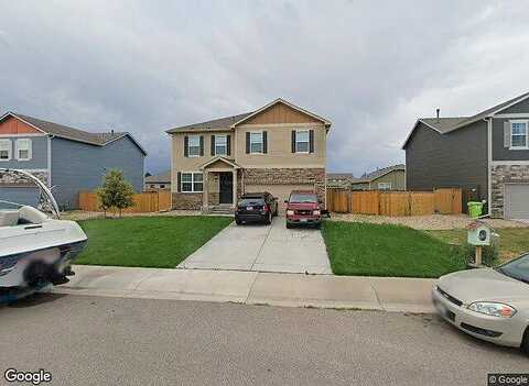 Daylily, WELLINGTON, CO 80549