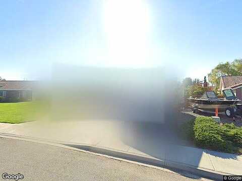 Ficus, WEST RICHLAND, WA 99353