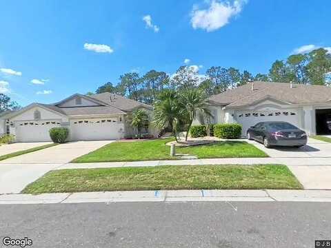 Sassafras, WESLEY CHAPEL, FL 33543