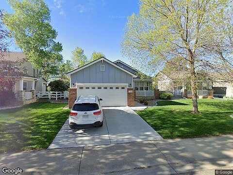 Warbler, LOVELAND, CO 80537
