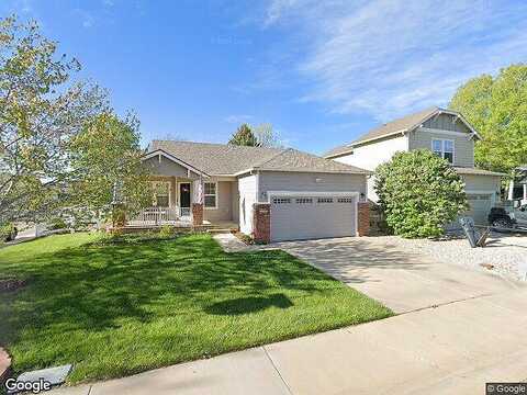 Warbler, LOVELAND, CO 80537