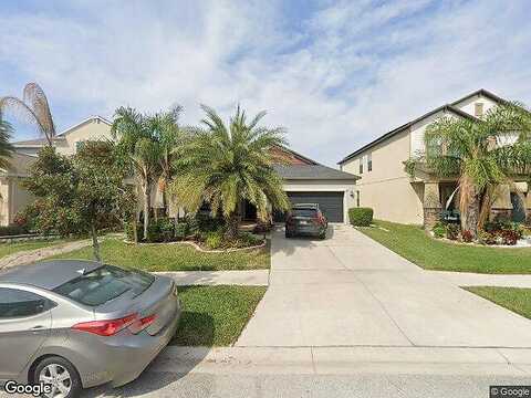 Little Blue Heron, RIVERVIEW, FL 33579