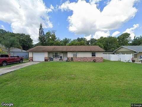 Travelers Palm, EDGEWATER, FL 32141