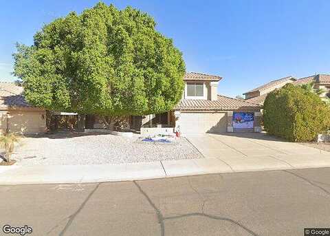 Quail, GILBERT, AZ 85233