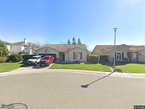 Blue Lupine, ELK GROVE, CA 95757