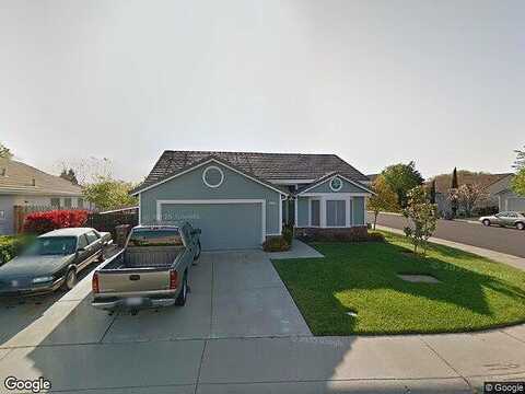 River Otter, ELK GROVE, CA 95758