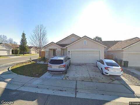 Blue Beech, ANTELOPE, CA 95843