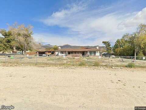Senilis, MORONGO VALLEY, CA 92256